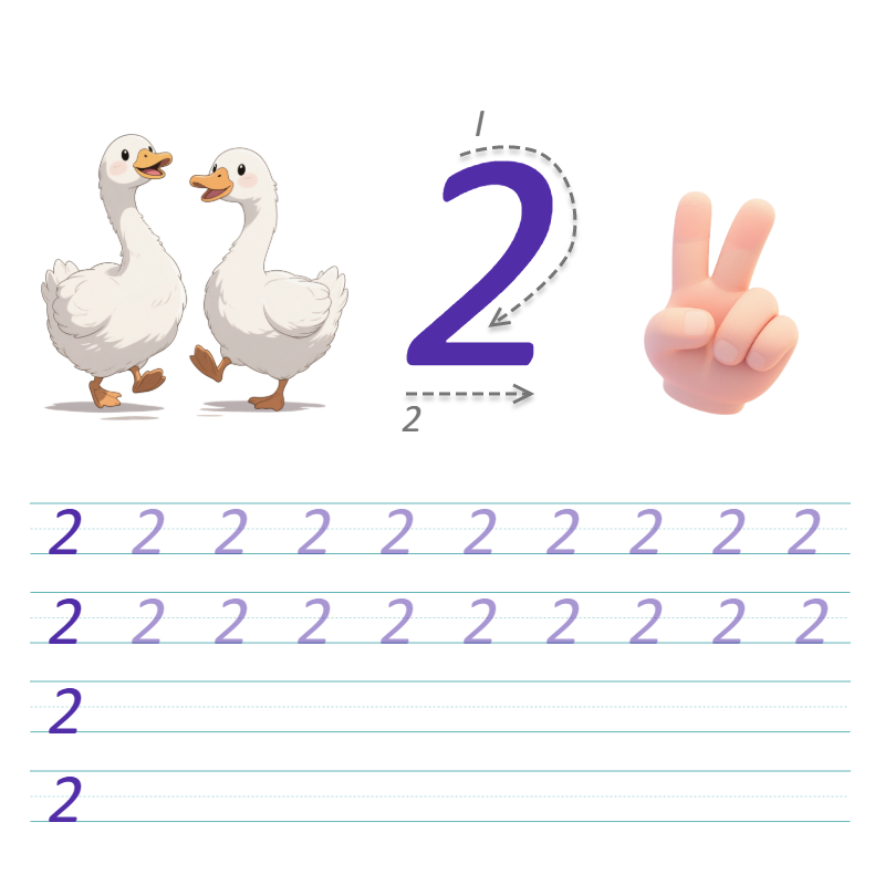 数字与字母 2 描线练习
