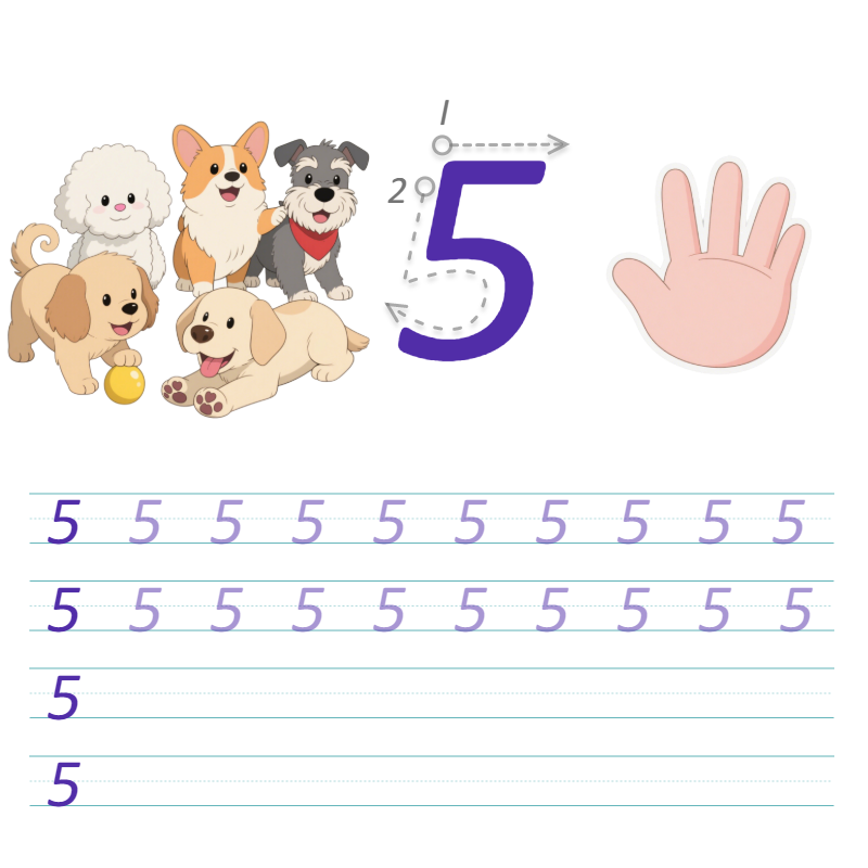 数字与字母 5 描线练习