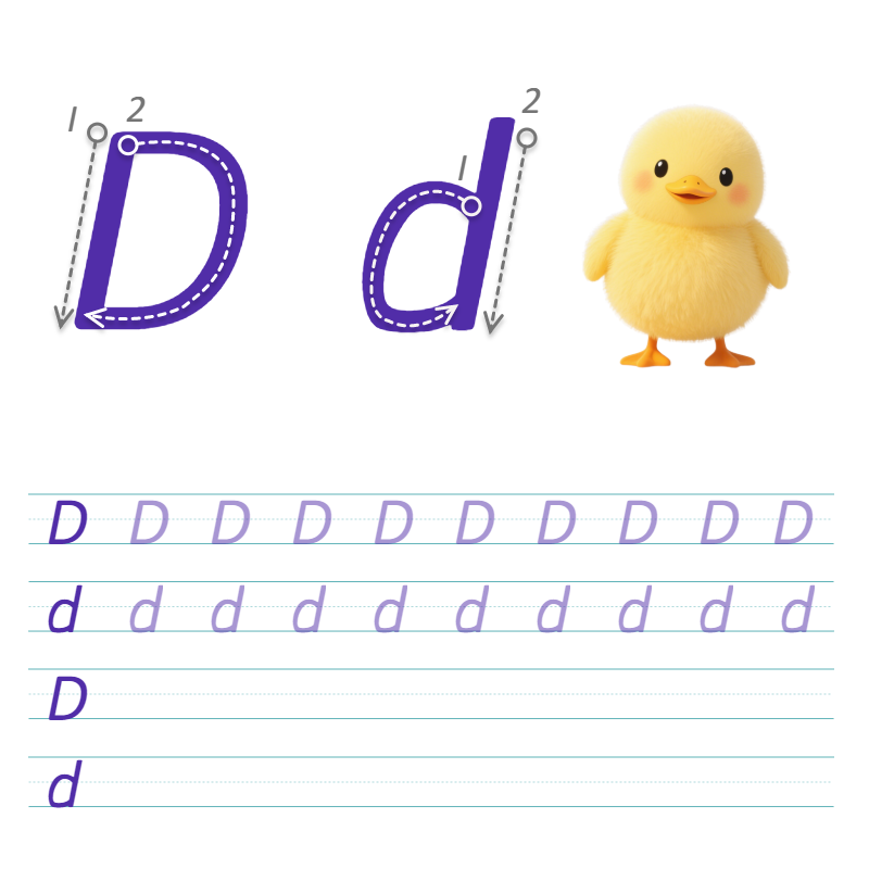 数字与字母 D 描线练习