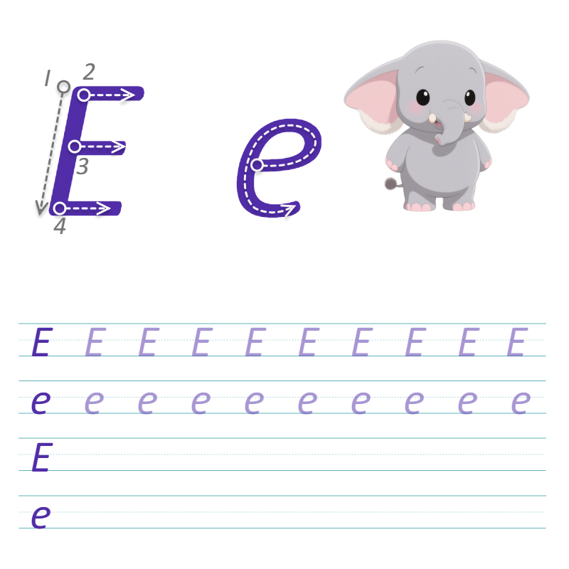 数字与字母 E 描线练习