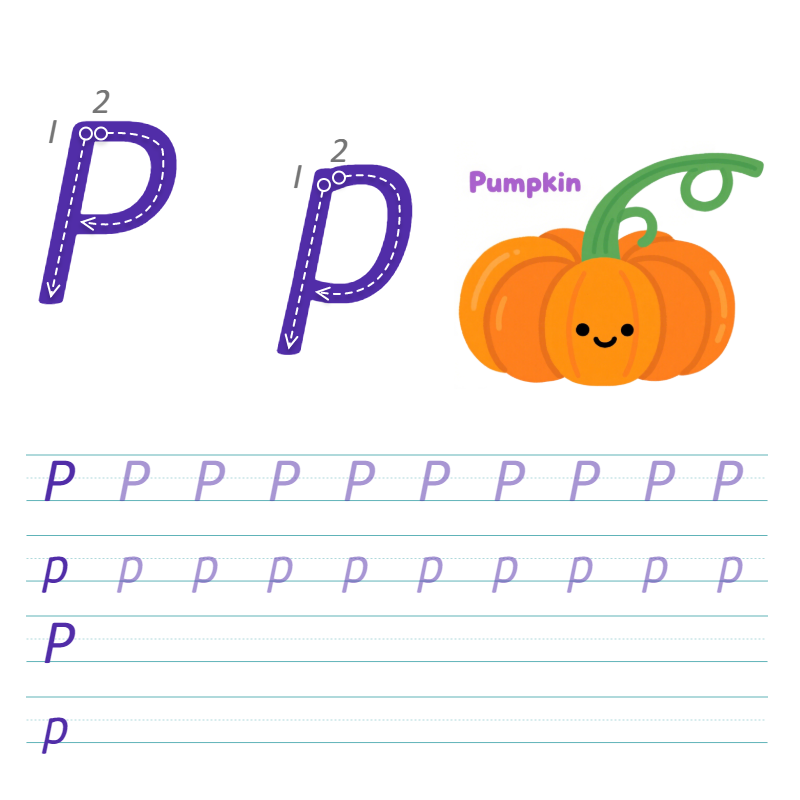 数字与字母 P 描线练习