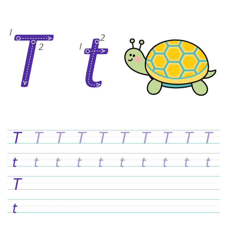 数字与字母 T 描线练习