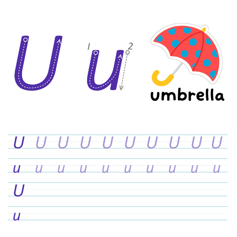 数字与字母 U 描线练习