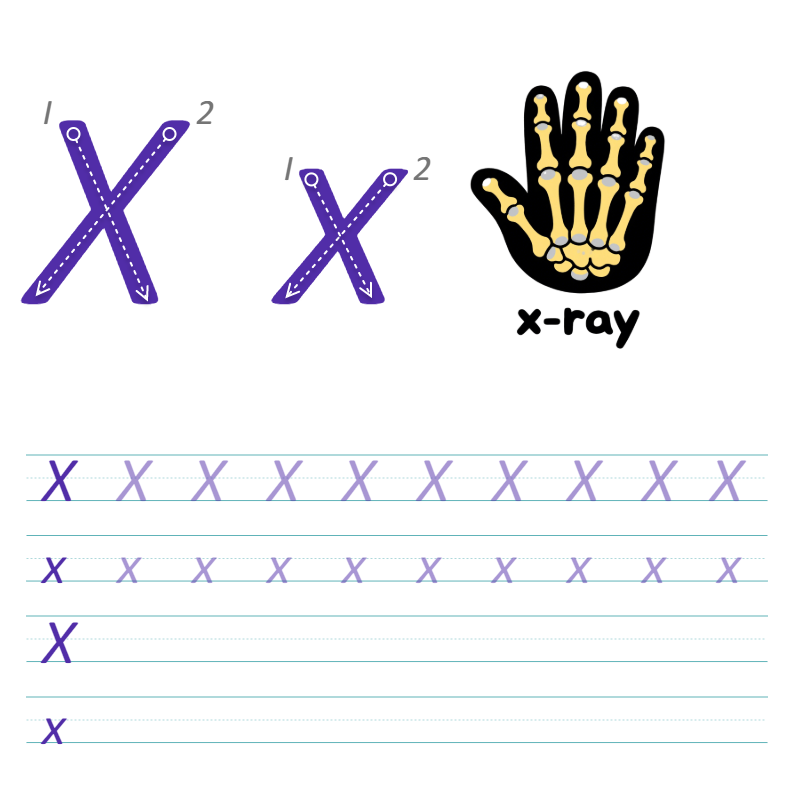 数字与字母 X 描线练习